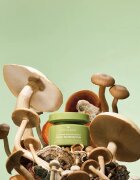 Origins Dr. Andrew Weil for ™ Mega-Mushroom Dark Spot Moisturizer sjednocující hydratační krém proti nedokonalostem pleti 50 ml