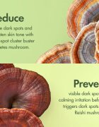 Origins Dr. Andrew Weil for ™ Mega-Mushroom Dark Spot Moisturizer sjednocující hydratační krém proti nedokonalostem pleti 50 ml