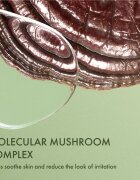 Origins Dr. Andrew Weil for ™ Mega-Mushroom Fortifying Emulsion with Reishi and Seabuckthorn zklidňující a hydratační emulze 100 ml