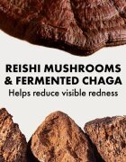 Origins Dr. Andrew Weil for ™ Mega-Mushroom Relief & Resilience Soothing Treatment Lotion zjemňující a zklidňující pleťová voda 200 ml