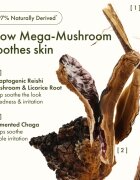Origins Dr. Andrew Weil for ™ Mega-Mushroom Relief & Resilience Soothing Treatment Lotion zjemňující a zklidňující pleťová voda 200 ml