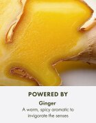 Origins Ginger Essence Sensuous Skin Scent parfémovaný sprej na tělo a vlasy pro ženy 100 ml