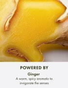 Origins Ginger Essence™ Sensuous Skin Scent Rollerball povzbuzující roll-on unisex 10 ml