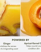 Origins Ginger Souffle™ Whipped Body Cream jemný tělový krém 200 ml
