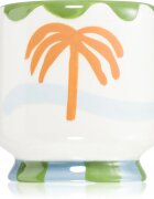 Paddywax A Dopo Palm Tree vonná svíčka 226 g