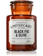 Paddywax Apothecary Fig & Olive vonná svíčka 226 g