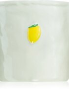 Paddywax Bistro Meyer Lemon vonná svíčka 226 g