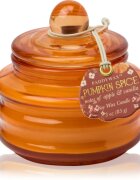 Paddywax Pumpkin Spice vonná svíčka 58 g