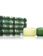 Paddywax Ripple Secret Garden + Wild Fig & Cedar dárková sada