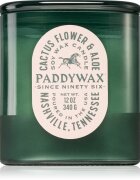 Paddywax Vista Cactus Flower & Aloe vonná svíčka 340 g