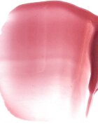 Paese Beauty Lipgloss With Meadowfoam Seed Oil hydratační lesk na rty odstín 04 Glowing 34 ml