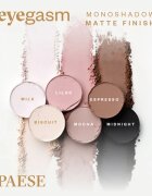 Paese Eyegasm Eyeshadow dlouhotrvající oční stíny odstín 17 Whisper 1.5 g