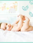 Pampers Premium Care Size 2 jednorázové pleny 4-8kg 46 ks