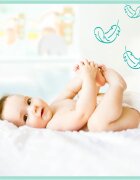 Pampers Premium Care Size 3 jednorázové pleny 6-10 kg 60 ks