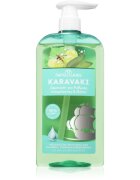 PAPOUTSANIS Karavaki Control & Detox šampon na mastnou a suchou pokožku hlavy 600 ml