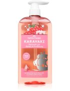 PAPOUTSANIS Karavaki Nutrition & Hydration vyživující šampon 600 ml