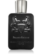 Parfums De Marly Pegasus Exclusif parfémovaná voda pro muže 125 ml