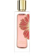 Paris Corner Ibisco Nirvana parfémový extrakt unisex 65 ml