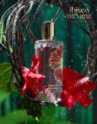 Paris Corner Ibisco Nirvana parfémový extrakt unisex 65 ml