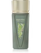Paris Corner Mysterium parfémovaná voda pro muže 100 ml