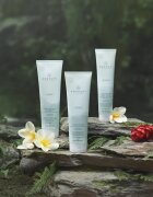 Paul Mitchell Awapuhi Wild Ginger Repair Cream Rinse vyživující kondicionér pro všechny typy vlasů 250 ml