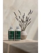 Paul Mitchell Tea Tree Lavender Mint hydratační a zklidňující kondicionér pro suché a nepoddajné vlasy 300 ml