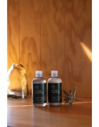 Paul Mitchell Tea Tree Lemon Sage energizující šampon pro hustotu vlasů 300 ml
