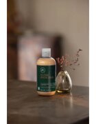 Paul Mitchell Tea Tree Special Color Conditioner pečující kondicionér pro barvené vlasy 1000 ml