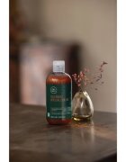Paul Mitchell Tea Tree Special Color šampon pro ochranu barvených vlasů 300 ml