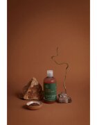 Paul Mitchell Tea Tree Special Color šampon pro ochranu barvených vlasů 300 ml
