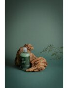 Paul Mitchell Tea Tree Special osvěžující šampon 75 ml