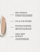 Payot Pâte Grise Crème Teintée Perfectrice SPF30 tónovací sjednocující korekční péče proti nedokonalostem pleti a stopám po akné SPF 30 40 ml