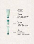 Payot Pâte Grise Stick Gommant Purifiant pleťový peeling pro problematickou pleť 25 g