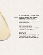 Payot Source Nutrition výživný balzám pro suchou pokožku 20 g