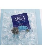 Petitfée Agave Cooling intenzivní hydrogelová maska pro zklidnění pleti 32 g