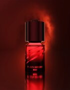 Philipp Plein Heat toaletní voda pro muže 100 ml