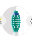 Philips Sonicare ProResults HX6014/87 náhradní hlavice pro zubní kartáček 4 ks