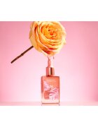 Physicians Formula Butter Glow tekutá tvářenka s vyživujícím účinkem odstín Rosy Glow 30 ml