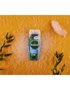 Radox Feel Active sprchový gel 225 ml