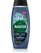 Radox Feel Energised sprchový gel pro muže 2 v 1 450 ml