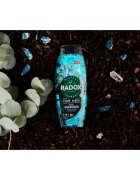 Radox Feel Energised sprchový gel pro muže 2 v 1 450 ml