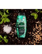Radox Feel Invigorated sprchový gel pro muže 2 v 1 450 ml