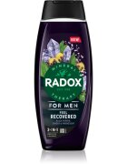 Radox Feel Recovered sprchový gel pro muže 2 v 1 450 ml