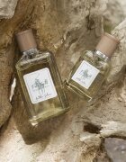 Ralph Lauren Polo Earth Antilles Vetiver toaletní voda unisex 100 ml