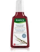Rausch Treatment Shampoo With Willow Bark šampon na mastné vlasy 200 ml
