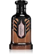 Riiffs Inspiro Men parfémovaná voda pro muže 100 ml