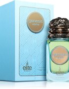 Risala Elite Genesis Alpha parfémovaná voda pro muže 100 ml