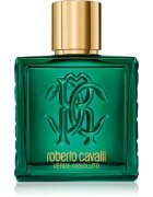 Roberto Cavalli Uomo Verde Assoluto parfémovaná voda pro muže 100 ml