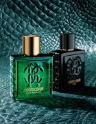 Roberto Cavalli Uomo Verde Assoluto parfémovaná voda pro muže 100 ml