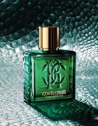 Roberto Cavalli Uomo Verde Assoluto parfémovaná voda pro muže 100 ml